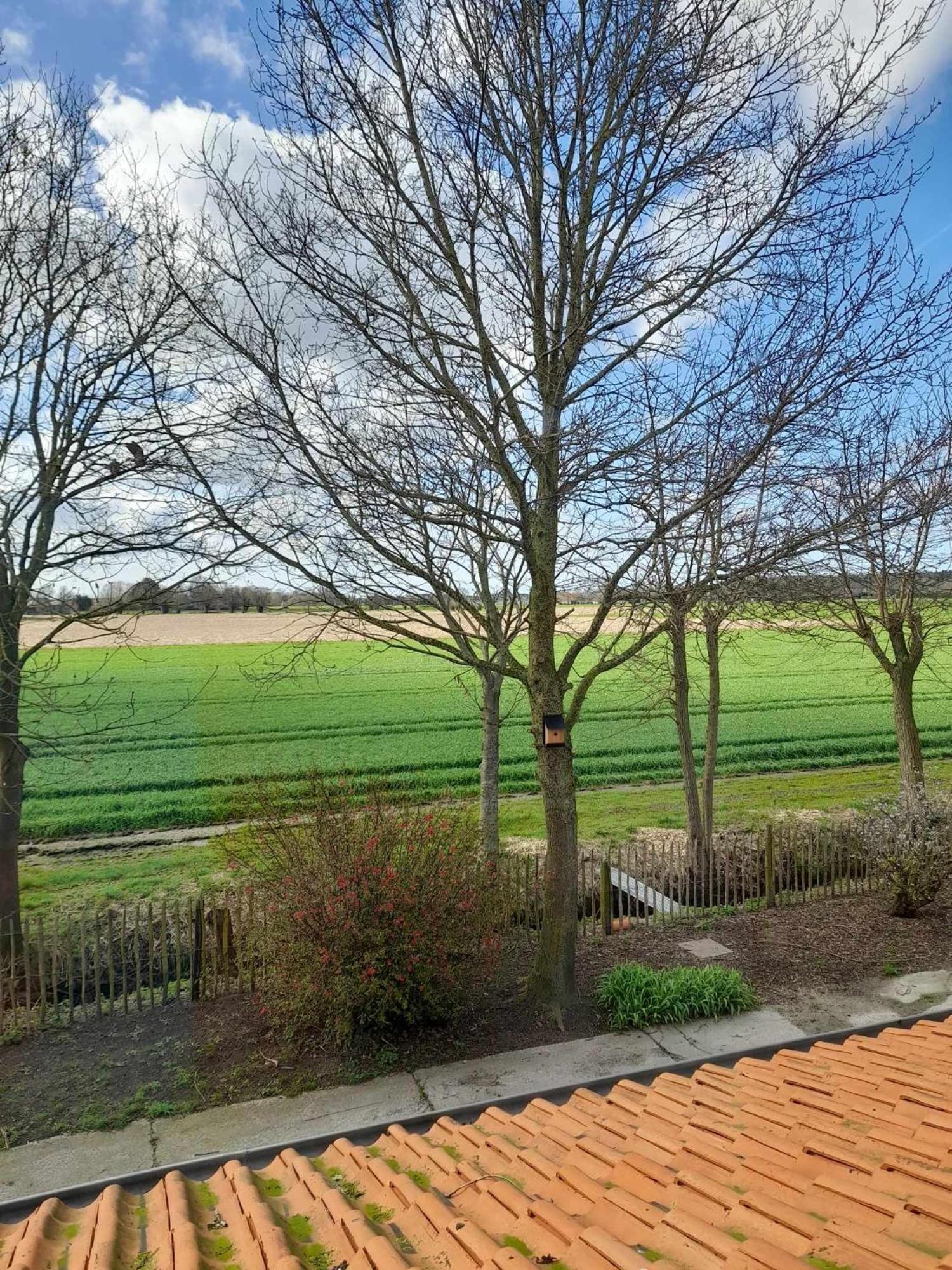 Holiday home Wilgenwind *