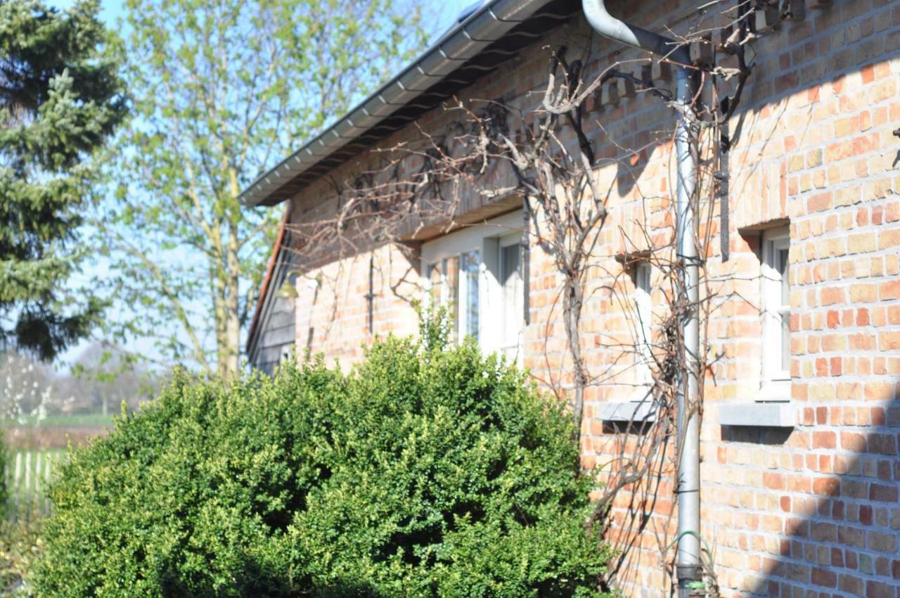 Ferienhaus Wilgenwind Sijsele