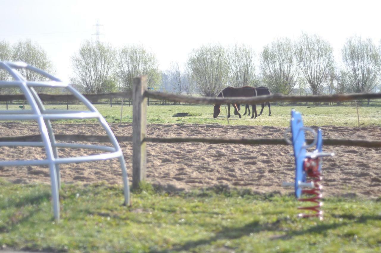 Wilgenwind Sijsele